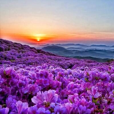 Sleep ritual for tonight