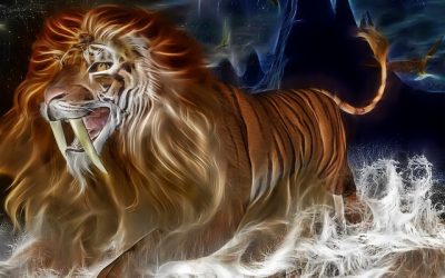 Radio interview on Llewellyn’s Complete Book of Lucid Dreaming