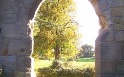 Can Dream Therapy help the grieving process?