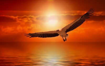 Spiritual lucid dreams