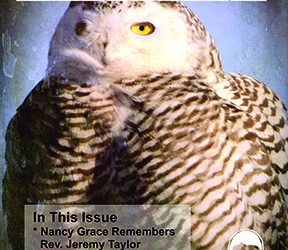 Luminous spiritual dreams