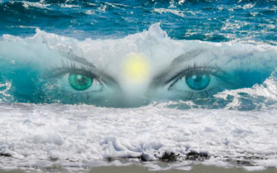 Stay lucid in tough times