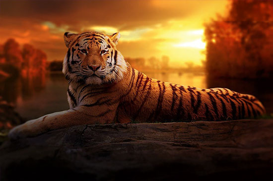 Full moon small sunset